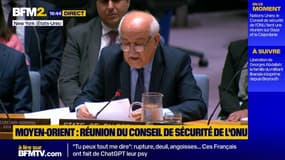 Israël/Palestine : "La solution à deux États, la seule voie possible", déclare le représentant de la Palestine