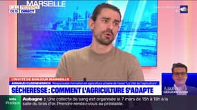 Bouches-du-Rhône: Arnaud Cleenewerck revient sur la sécheresse précoce dans le département et donne ses idées pour s'adapter