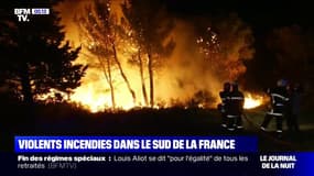 Incendie dans l'Aude: le feu est désormais fixé