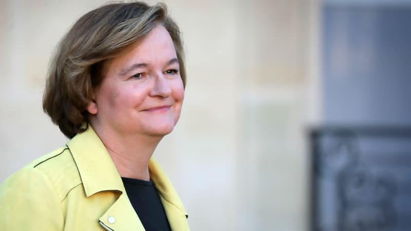 Nathalie Loiseau, ministre auprès du ministre de l'Europe et des Affaires étrangères à l'Elysée le 14 novembre 2018.