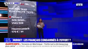 LES ÉCLAIREURS - Budget 2025: les Français condamnés à l'effort?