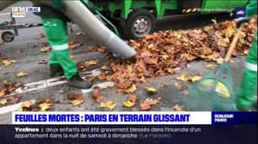Paris: comment s’organise le service de propreté pour le ramassage des feuilles mortes