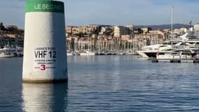 La CCI était gestionnaire du Vieux-Port de Cannes depuis 1965 