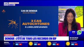 Dengue: l'été de tous les records en Ile-de-France