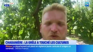 Chabanière : la grêle touche les cultures