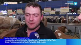 Salon de l’Agriculture: une édition 2025 apaisée ? 