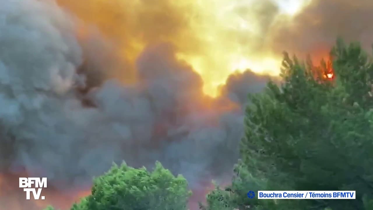 Incendies Dans Les Bouches Du Rhone Des Centaines De Pompiers Mobilises A Martigues Et Port De Bouc