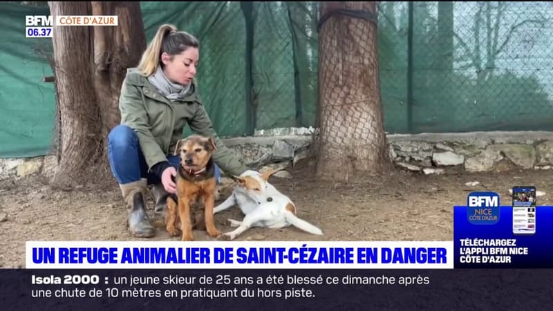 Saint-Cézaire-sur-Siagne: un refuge animalier lance un appel pour sauver ses 170 animaux