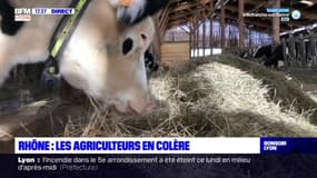 Rhône : les agriculteurs en colère 