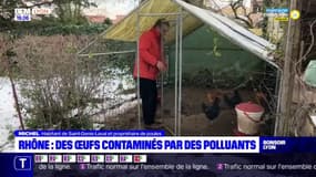 Rhône : des œufs contaminés par des polluants