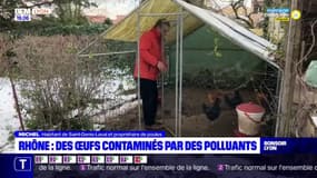 Rhône : des œufs contaminés par des polluants