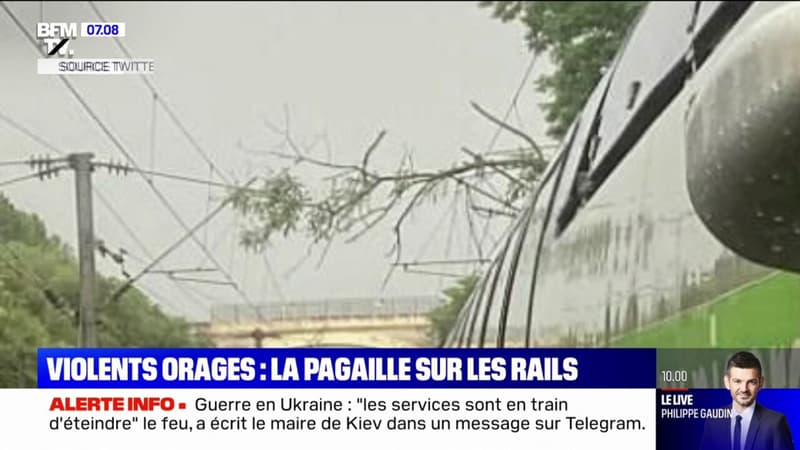 Violents orages: trafic interrompu sur la ligne Creil-Paris Nord à cause d'un arbre tombé sur les installations électriques