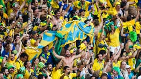 Supporters Brésil