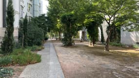 Des bâtiments au quartier des États-Unis dans le 8e arrondissement de Lyon (Rhône), début août 2025.