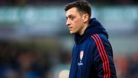 Mesut Ozil