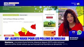 Île-de-France: alerte rouge pour le pollen de bouleau