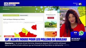 Île-de-France: alerte rouge pour le pollen de bouleau