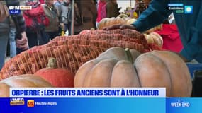 Orpierre: les fruits anciens à l'honneur