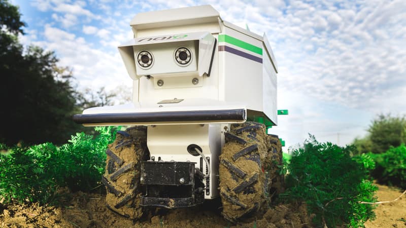 Ce robot fait la chasse aux mauvaises herbes. Il se déplace tout seul et communique avec l'exploitant en envoyant des SMS.