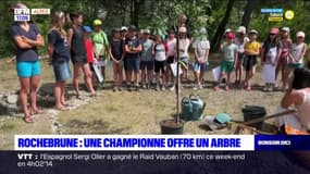 Hautes-Alpes: la championne de ski-alpinisme Laetitia Roux offre un arbre à Rochebrune