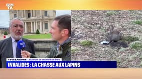 Invalides : la chasse aux lapins - 07/06