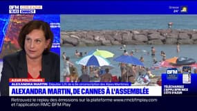 Alpes-Maritimes: la députée Alexandre Martin évoque "les grands défis" de l'ouest du département