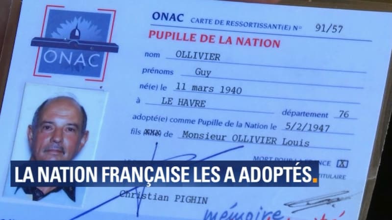 Carte de pupille de la nation