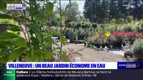 Villeneuve-Loubet: comment avoir un beau jardin économe en eau