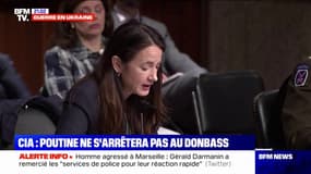 "Nous ne sommes pas convaincus que les combats dans le Donbass mettront fin à la guerre", affirme la CIA