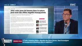Pourquoi il ne faut pas jeter sa peau de banane dans la nature? 
