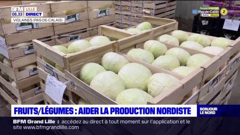 Hauts-de-France: les difficultés rencontrées par les maraîchers