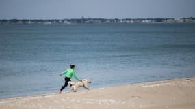 Impossible pour les propriétaires de chien de se rendre sur une plage de Hyères (illustration)