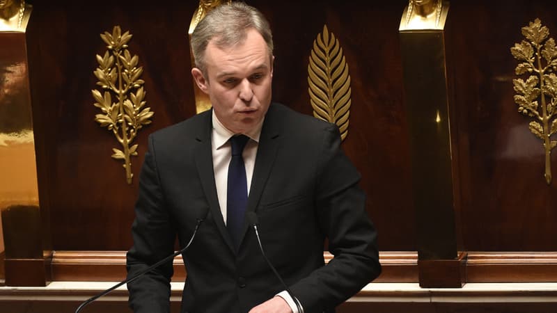 François de Rugy à l'Assemblée nationale le 19 février 2015.