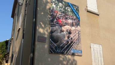 Affiche de la foire d'Ongles (Alpes-de-Haute-Provence) le deuxième dimanche d'août
