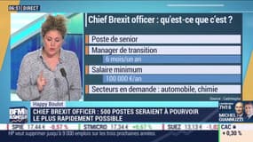 Chief Brexit officer: 500 postes seraient à pourvoir le plus rapidement possible - Happy Boulot, par Laure Closier - 04/10