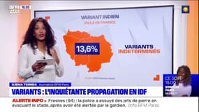 Paris Scan : Les variants reculent-ils vraiment en Île-de-France ?