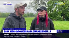 Lille: des chiens intoxiqués dans le parc de la Citadelle