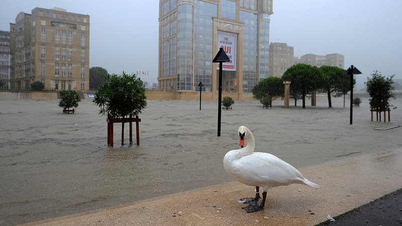 Inondations à Montpellier, le 29 septembre 2014.