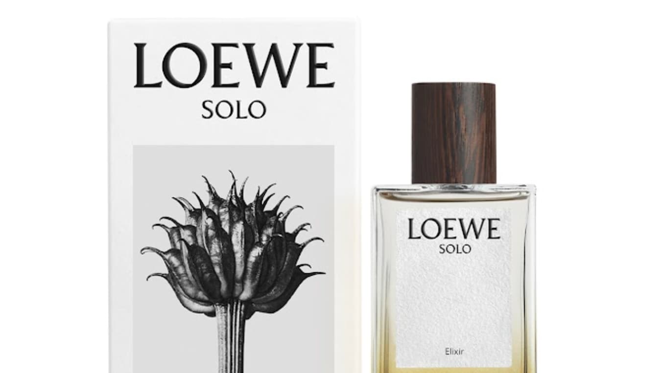 Loewe Loewe