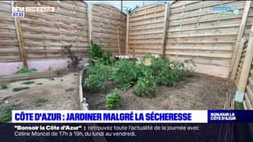 Alpes-Maritimes: jardiner malgré la sécheresse