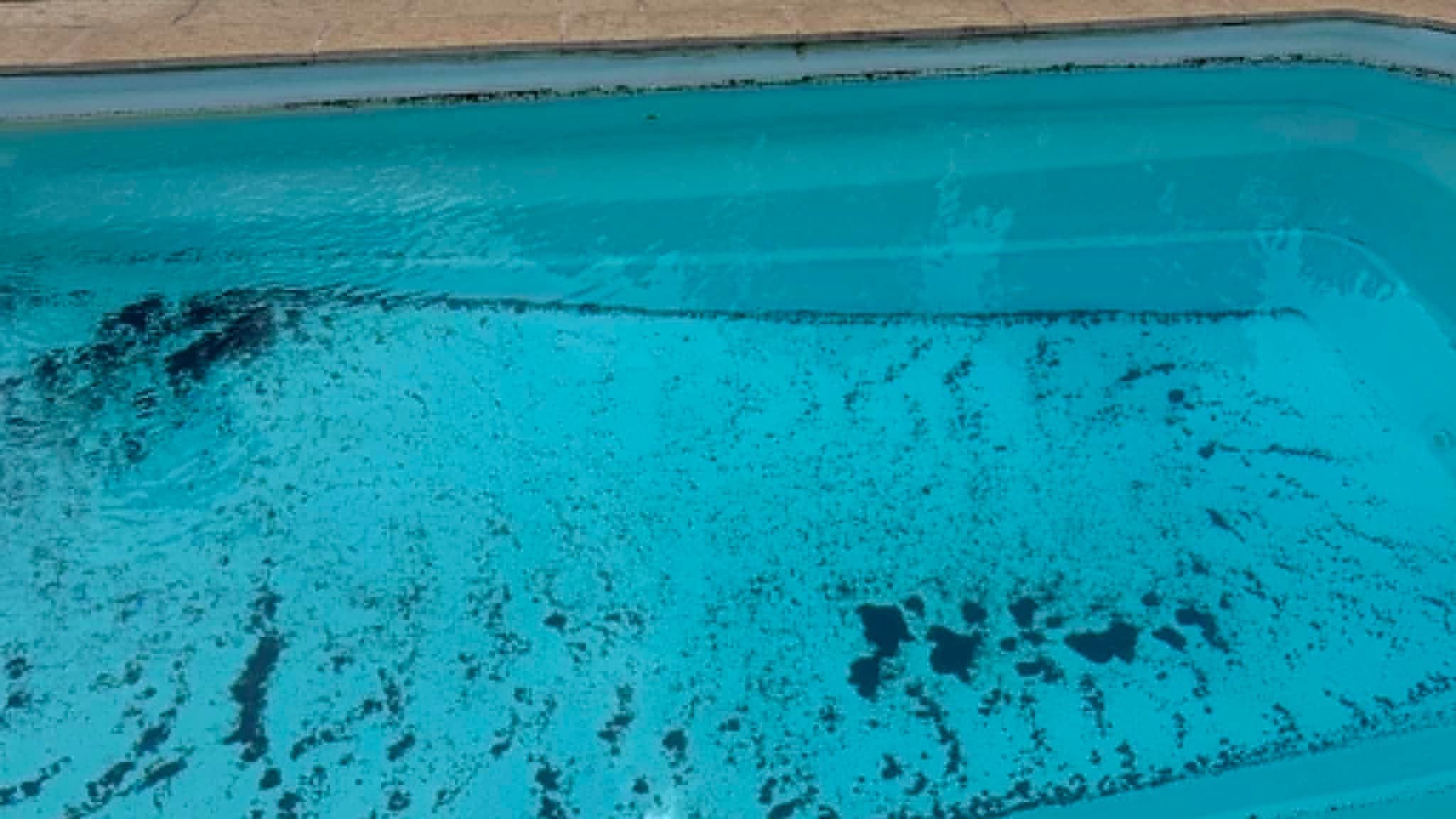 La piscine de Jayson et ses parents, à Saint Jean d'Illiac en Gironde, remplie de cendres en raison de l'incendie. La piscine de Jayson et ses parents, à Saint Jean d'Illiac en Gironde, remplie de cendres en raison de l'incendie.