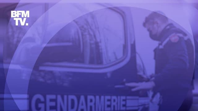 Gendarmerie (illustration).