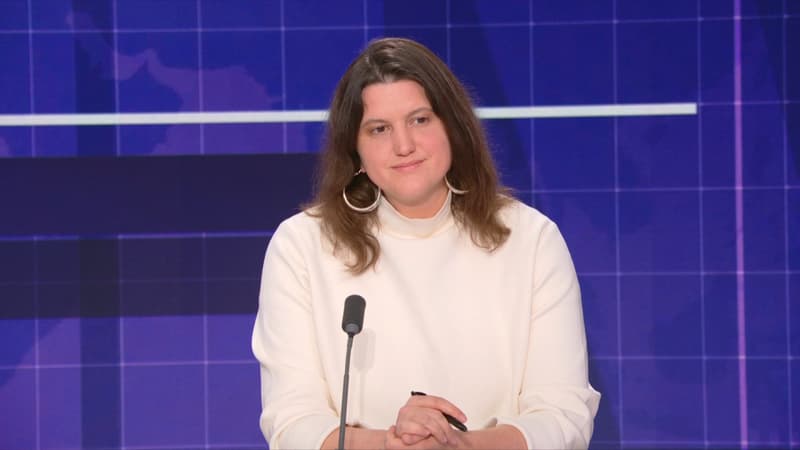 Élise Van Beneden, présidente de l'association Anticor, sur BFMTV le 5 avril 2024 