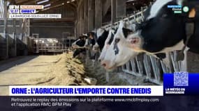 Orne: la société Enedis condamnée à verser 140.000 euros à un éleveur