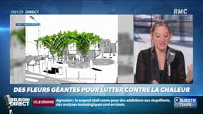 Objectif Terre : Des fleurs géantes pour lutter contre la chaleur - 02/09