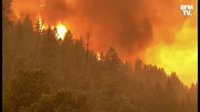 Aux États-Unis, le "Dixie Fire" qui ravage la côte Ouest, continue de progresser