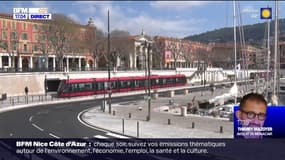 Punaises de lit: le tram traité en prévention