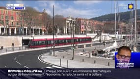 Punaises de lit: le tram traité en prévention