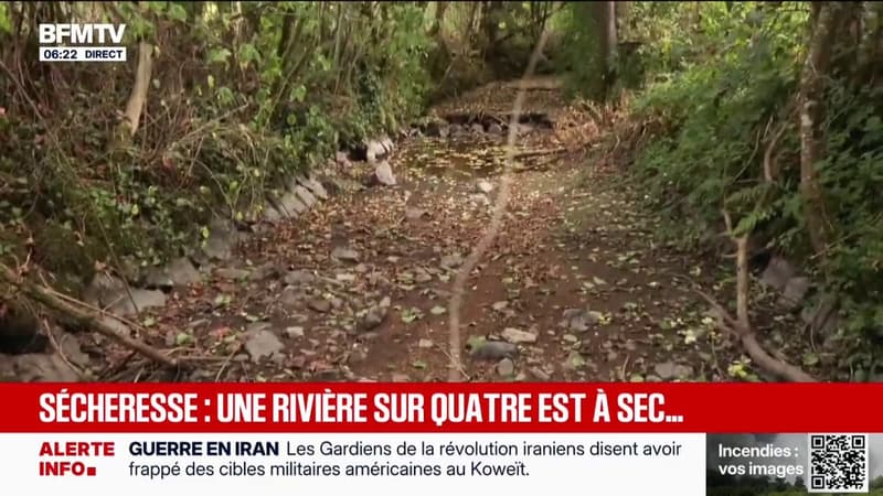 En France, un quart des cours d'eau sont complètement asséchés
