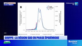 Grippe : la région Sud en phase épidémique